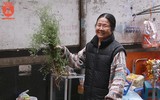 Người Hà Nội đi mua rau mùi già chiều 30 Tết